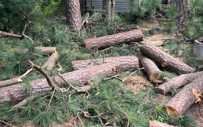 Auto Fuel Rescue in Hesperia